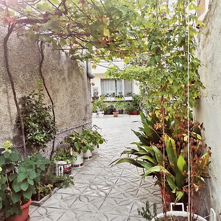 Garden Center * Поморие